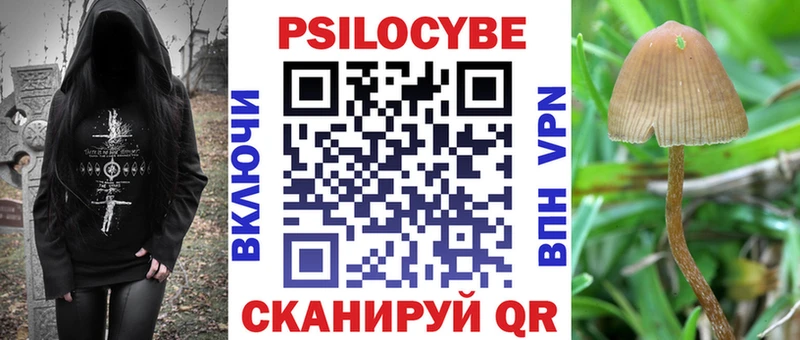 Галлюциногенные грибы мухоморы  где найти   kraken как войти  Катайск 